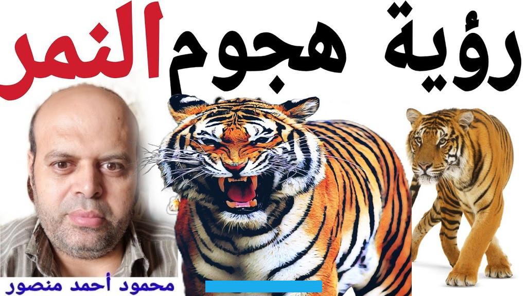 كما أن الحلم بالاقتراب الودي من الأسد بدون خوف يرمز إلى الشعور بالأمان والحماية من المشاكل الصحية.رؤية الأسد في الحلم. يمكن أن تحمل معانٍ مختلفة بحسب السياق الاجتماعي والمادي للرائي. فقد يشير للغني إلى الأعباء المالية كالضرائب. وللفقير قد يعني معاناة من ظلم.