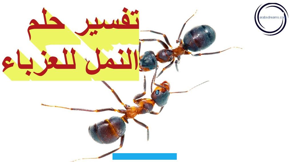 الكثير في الحلم من العلامات التي تدل على تعدد الذرية لدى صاحب الحلم سواء كان رجل أو امرأة.النمل أيضًا في الحلم من. العلامات التي تدل على كثرة المال لدى صاحب الحلم. قد يكون هذا المال من ميراث أو الحصول على ثروة.لكن ابن سيرين يرى أن قرص النمل في الحلم يدل على تعرض صاحب الحلم للأذى في.