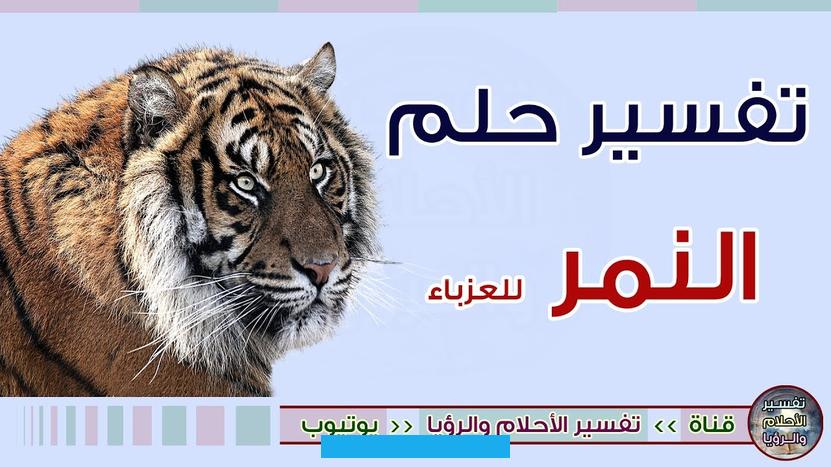 النمر في المنام للمتزوجةالنمر الهادئ الأليف في منام الزوجة يدل على الحياة الزوجية السعيدة والمستقرة.إذا رأت المتزوجة نمر. أبيض في منامها فهي إشارة إلى كسب زوجها مال وفير.بينما إذا رأت الحالمة نمر يهجم عليها في المنام فقد تنشب خلافات بينها. وبين زوجها عليها التعامل معها بهدوء وحكمة كي لا تتفاقم الأمور سوء.يُقال أن سماع صوت زئير النمر في منام السيدة قد ينذر.