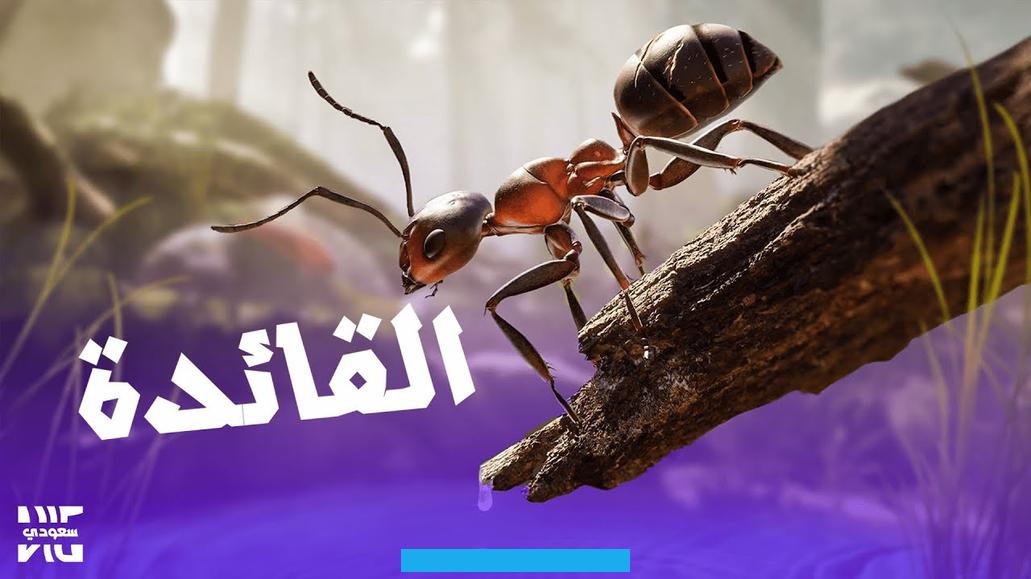 بينما يُعتقد أن مشاهدة النمل وهو يغادر أعشاشه يرتبط بمشاعر القلق والمخاوف.مشاهدة الشخص للنمل في محيطه تعكس في كثير من. الأحيان قضايا تتعلق به شخصيًا أو بأقاربه. وإذا ما لوحظت جموع النمل تتدفق بأعداد كبيرة في منطقة ما. فقد يُفسر ذلك كدلالة على النمو سواء في عدد السكان أو الثروات.الحلم بالنمل وهو يحمل الطعام إلى المنزل يُعتبر علامة مبشرة.