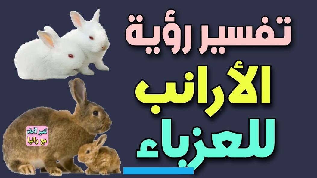 له دلالة علي أن صاحب الحلم سوف يرزق بأولاد كثيرة. أو أنه يعبر على أن الرائي شخص لعوب وغير ملتزم في عمله.