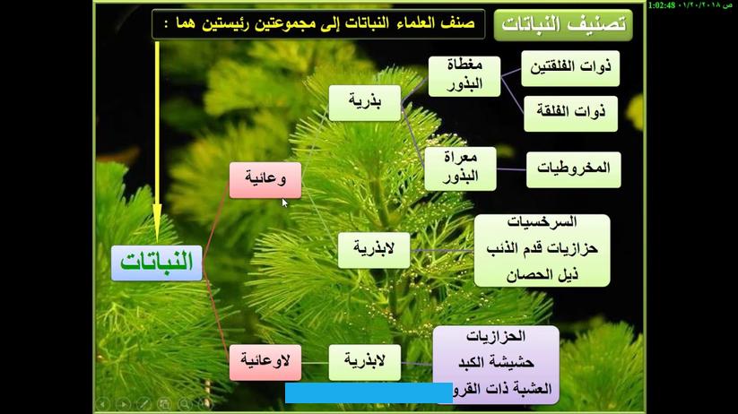المطلوبة لإكمال دورة حياتها إلى:[٧]النباتات الحوليةوهي النباتات التي تكمل دورة حياتها خلال موسم واحد. وتحتاج لسنة واحدة حتى تكمل دورة حياتها. إذ يتم زراعة معظمها في فصل الربيع وتزهر في فصل الصيف وتموت في فصل الخريف. وهي من النباتات التي لا تستطيع تحمل درجات الحرارة المنخفضة والمناخ شديد البرودة.