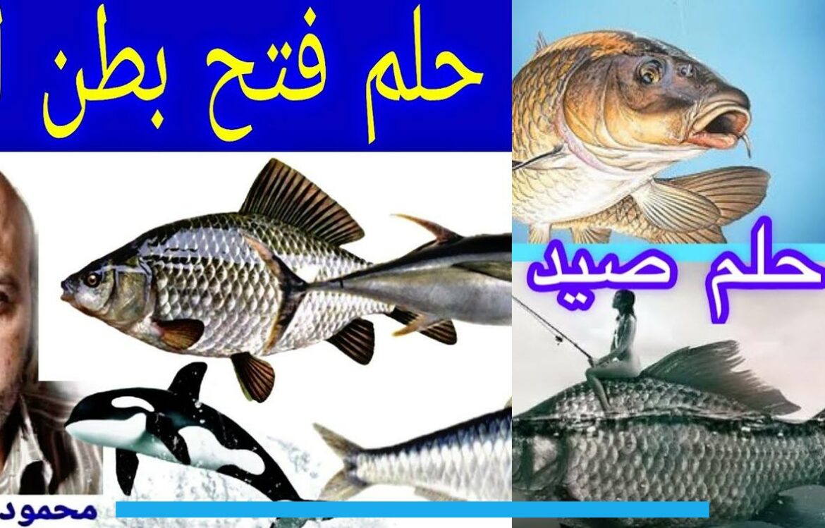 2Fb6z7