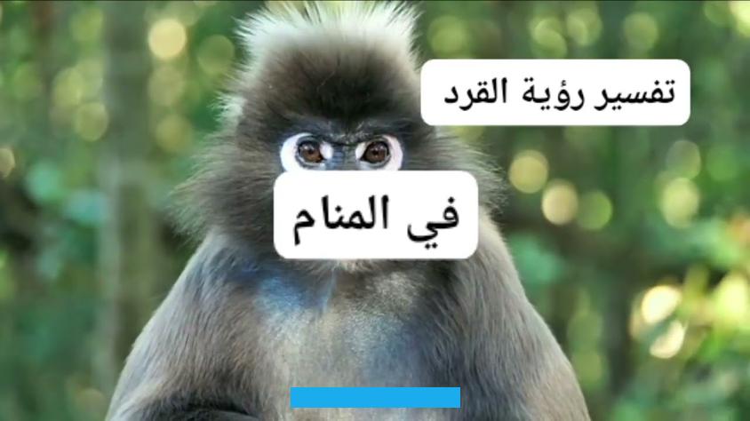 فرؤية بعض الأشخاص في حياتها على هيئة قرد يوضح خبث نواياهم وعدم سعيهم إلى تقديم الدعم والمساندة للرائي في ظل الظروف. الصعبة التي يمر بها. وحين ترى نفسها في صورة القرد فيعني أنها ترتكب ذنوب وتقوم بتصرفات سيئة تحتاج إلى إعادة الحالم هو من يبيع القرد دل ذلك.