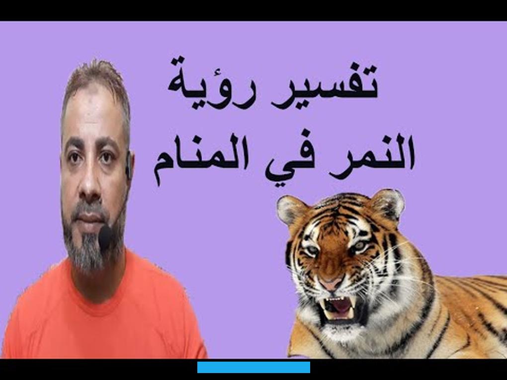 مع الأمور الحياتية وعندما تشاهد النمر كشّر على أنيابه وتملكها الخوف فيؤول إلى عدم الاستقرار في حياتها وسوف تتعرض لأذى. ومن الضرورة أن تبدأ في مساندة نفسها.تفسير حلم النمر في البيتفي المنام للعزباءتفسير حلم النمر في البيتفي المنام للعزباءفي.