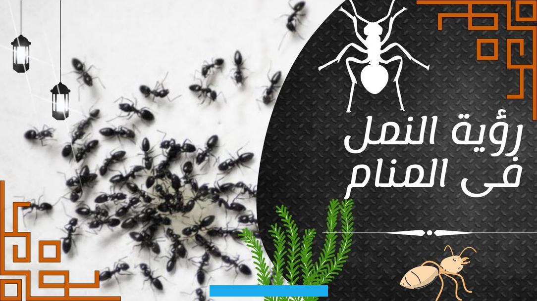 والنمل حشرة صغيرة للغاية وتوجد بكثرة في الشوارع أو البيوت أو الجناين وفي أي مكان آخر. ولذلك فإن النمل من الأشياء الغير محبوبة في الواقع.ورغم ذلك فهو ذكر في القرآن الكريم وسُميت به سورة من سور القرآن الكريم. البالغ عددها 114 سورة.