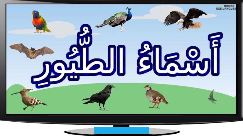 ولكن بشكل عام تشترك الطيور بصفات معينة وتختلف في أنواعها..[١]صفات الطيورتتميز الطيور بالعديد من الصفات ومن أهمهاما. يلي:.[٢]تتميز الطيور بشكل جسمها الإنسيابي.تتكاثر بالبيوض. باستثناء طائر الخفاش الذي يتكاثر بالولادة.يغطي جسمها الريش.