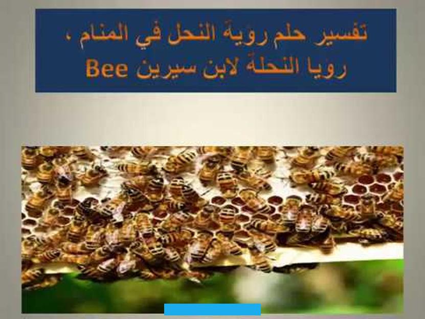 الخير والاستقرار العاطفي والنفسي والإحساس بالراحة والثقة.عندما ترى الفتاة هجوم سرب النحل يُفيد هذا الأمر بقرب الأحداث. السريعة.يمكن أن يُشير رؤية خلية النحل إلى قرب انتقالها لمنزل جديد وفي أغلب الأحيان يكون منزل الزوجية.في حالة بحث العزباء.