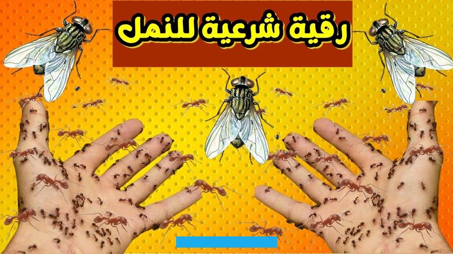 أنه سوف يتعرض لخسارة كبيرة في تجارته خلال الفترة المقبلة.تفسير حلم النمل في الماءظهور النمل في الماء في المنام.