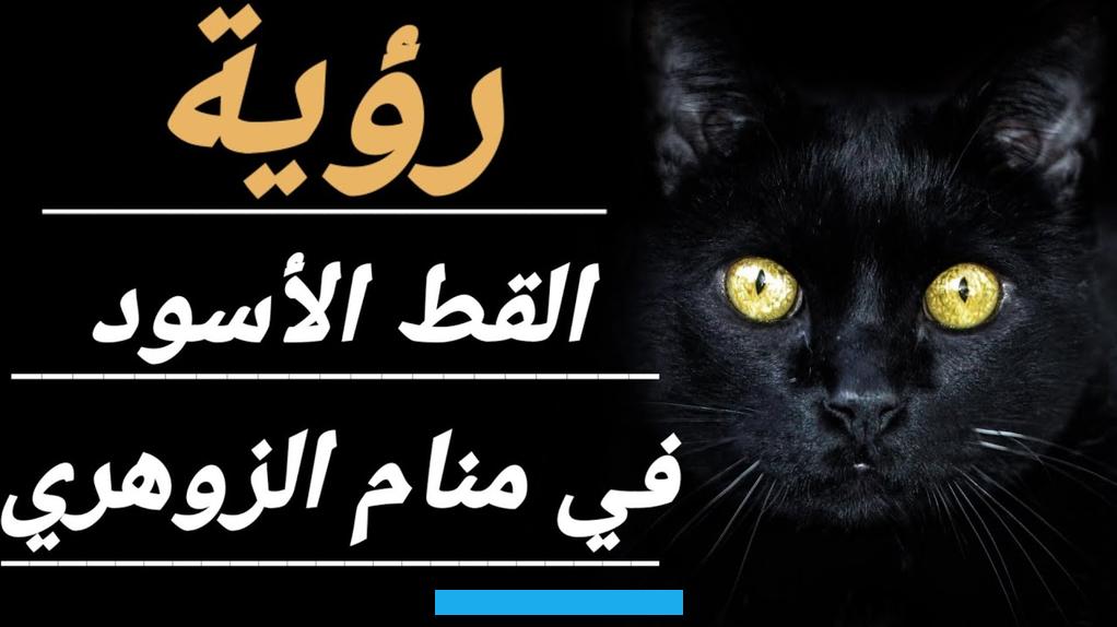 ويشدد على ضرورة الابتعاد عن هذه النوعية من الأشخاص لتجنب الوقوع في المشكلات.تفسير رؤية تبول القطط في المنام لابن. سيرينهذه الرؤية تحمل معاني التحذير من المشكلات والصعوبات المحتملة. يُشير ذلك إلى ضرورة اليقظة والحرص من جانب الشخص الذي يشاهد هذا الحلم.