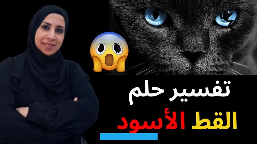 فقد يكون ذلك تحذيراً لها للحذر من تلك الصديقة. بول القط في المنامعندما يحلم شخص برؤية بول القطط. فقد يعكس ذلك وجود أفراد غير مخلصين وماكرين في دائرة معارفه.