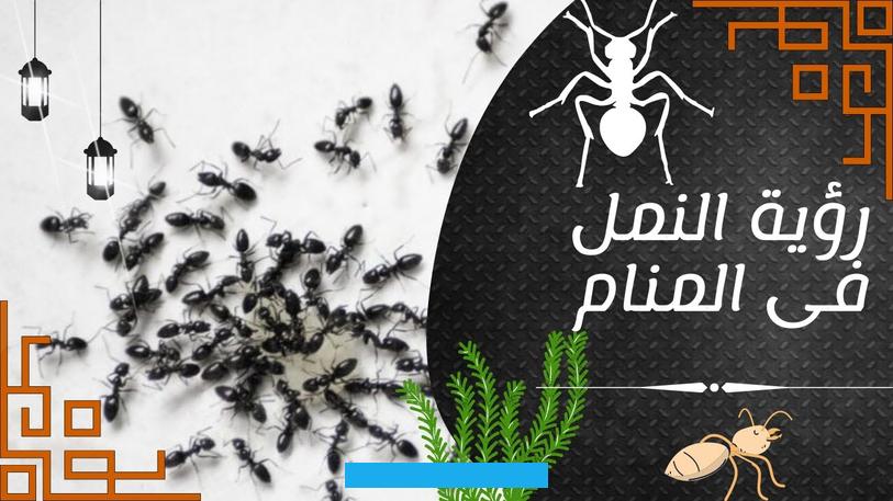 وإلا نال خصباً وخيراً.والنمل الكبير للمحاربين قتلهم وللمرضى موتهم ولمن يريدون السفر تعبهم وخسرانهم.تفسير حلم النمل لابن. شاهينتفسير ابن شاهين حلم النمل : إنه يدل على أوجه : فكثرة النمل تؤول بكثرة الناس فمن رأى أن بداره نملاً كثيراً فإنه يكثر. عياله وقيل النمل الكثير يدل على المال والنعمة أو جند السلطان ومن رأى نملاً في شيء من المأكول فإنه يدل على غلاء ذلك الشيء.