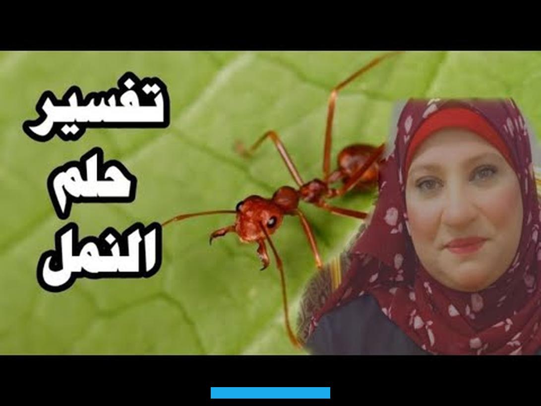 إنذار للرائي.وعندما يرى الشخص في منامه إنه يأكل النمل الأحمر فقد تدل هذه الرؤية على إن الرائي هو يرتكب الذنوب والمعاصي. وعليه التوبة والمغفرة لله سبحانه وتعالى.