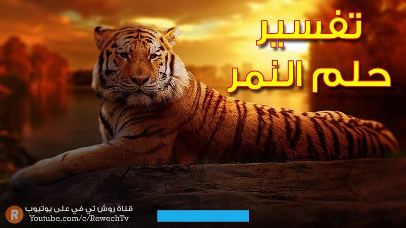 وسلطة عالية في المجتمع. وجاء في معانيه:أن إلحاق النمر الأسود الضرر بالحالم في الرؤية لا يشير إلى السعادة بل يعبر عن الإيذاء المتوقع في. الحقيقة.أما إذا استطاع المرء أن يواجه هذا النمر. وقتله فينتصر بقوة على أعدائه.يعبر ركوب النمر الأسود في الحلم عن الحظ الجميل.