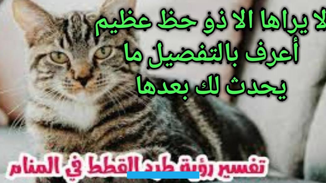 فهذا قد يعبر عن عودة مشاكل قديمة كانت قد تم حلها. أو قد يشير إلى استعادة الحياة لطبيعتها بعد انقطاع تلك العلاقات.تفسير رؤية القطة في المنام للمتزوجةفي حلم المرأة المتزوجة. يمكن أن تحمل رؤية القطة معاني متعددة بناءً على سلوكها وطبيعتها. الله سوف يرزقه الهداية.