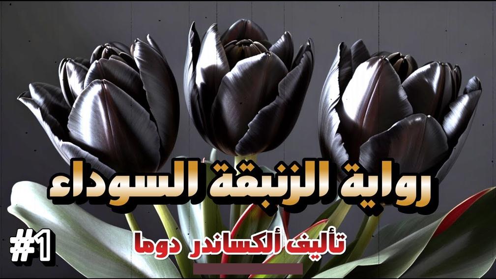 فالعمل في المكتب طيلة النهار ليس بحياة سعيدة. لا تكن تاجرا مثلي أو رجل سياسة مثل كورنيليوس دي ويت. فلا شك أن اخرته ستكون وخيمة.