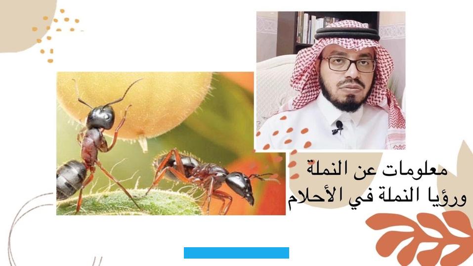 له دلالات ومعاني كثيرة وتأويل رؤيته في الحلم تتوقف على معطيات متعددة مثل حجمه لونه. كثرته مكانه ...في هذا المقال سوف نعتمد المرجعية الأولى في تفسير الأحلام وهي مرجعية ابن سيرين. ثم نتوقف عند تأويل الشيخ النابلسي لتفسيره لحلم النمل لنختم المقال بملخص عن تفسير النمل في الرؤى.