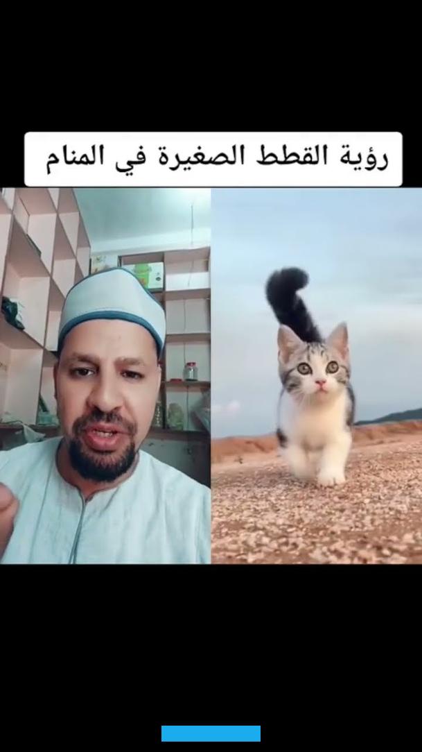 وبالتالي سيتمكن من سداد كافة الديون والالتزامات التي كانت متراكمة عليه.لو رأى صاحب الحلم أنه قام بطرد قطة باللون الأصفر. من منزله فيؤول ذلك إلى الأحداث الهامة التي سيلقاها خلال الفترة القادمة. وسيكون لها تأثير إيجابي عليه.تفسير حلم الكثير من القطط في البيت قد يعبر عن مرور الرائي بظروف قاسية في تلك الفترة.