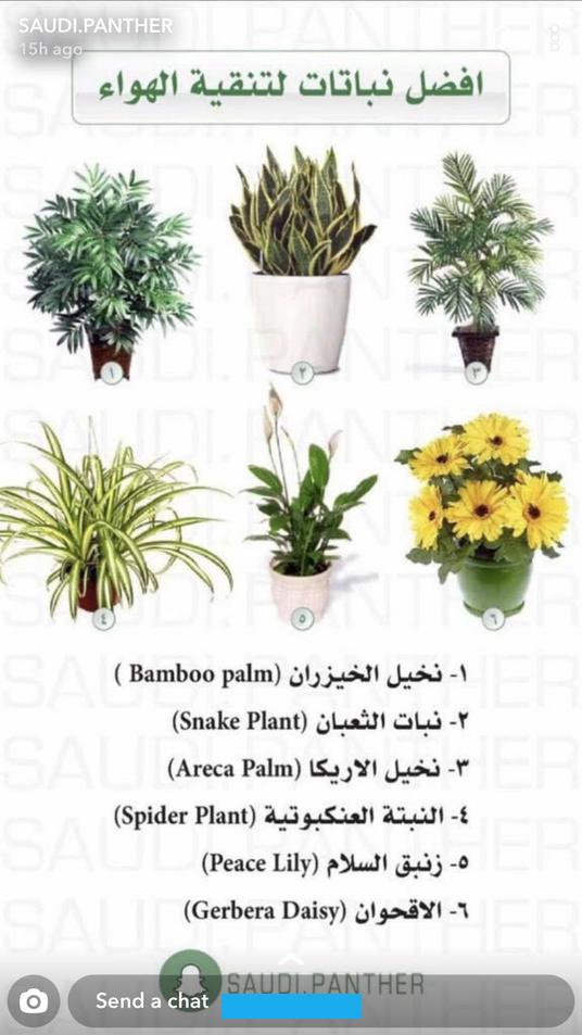 تقع تحت سماد المملكة النباتية