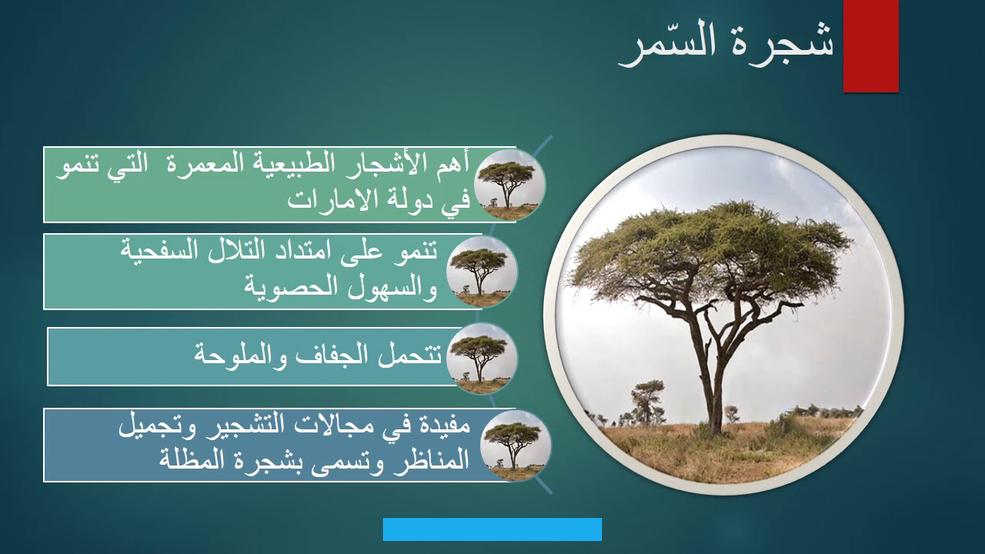 إذ تُعد عملية البناء الضوئي عملية معقدة جدًا تتم بواسطة الجزيئات الموجودة داخل الأوراق. وبغياب الشمس اللازمة تؤدي إلى نمو نبات ضعيف.المغذيات:وتعرف أيضًا باسم الأسمدة. إذ تقوم التربة بامتصاص العناصر الغذائية الموجودة بداخلها.
