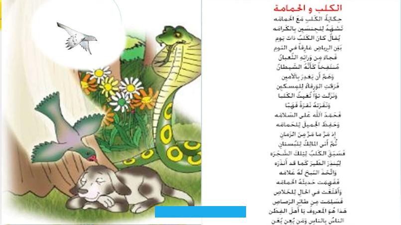 والأطْيَش والغاق والزُقّة والفرقاط وتضم الطيور التي تجيد السباحة والغطس. وافتراسالأسماكوالثدييات الصغيرة ومنها البطريق والنورس.اللقلقيات:وهي طيور كبيرة ومن أنواعها: طيور اللقلق.