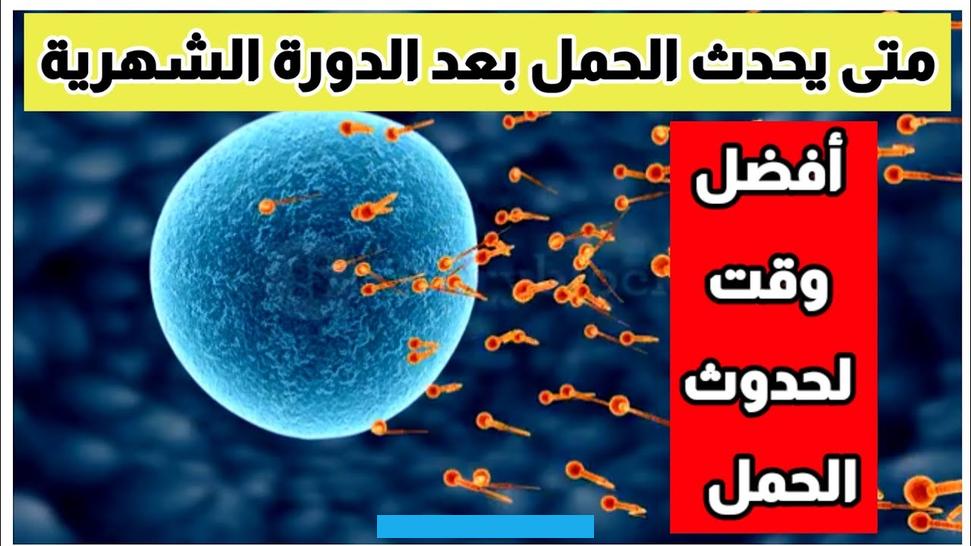 في الرحم:الجنين الذي يكون له وضعية طبيعية في الرحم عادة ما يكون حجم البطن للحامل في الحدود الطبيعية ويظهر في الأوقات. بينما الوضع الغريب للجنين كأن يكون الجنين بالعرض في الرحم يعطي البطن شكل أكبر من المعتاد.عمر الحامل:المرأة الأكبر في. السن يكون ظهور الحمل لديها أسرع من ظهوره على المرأة الشابة بسبب قوة عضلات البطن للثانية وضعفها عن المرأة المتقدمة في.