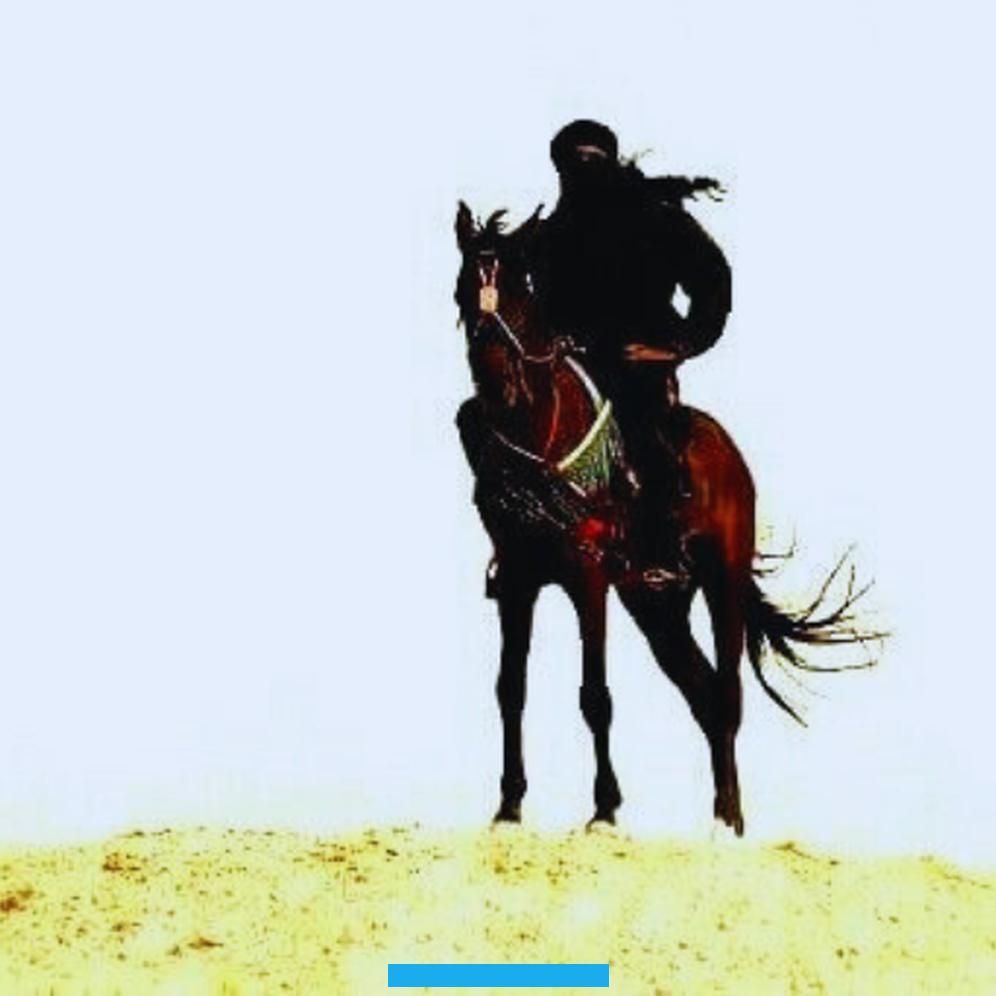 حيث اعتبرت من أروع القصائد التي قيلت في الشعر العربي. والتي اهتم الناس بكتابتها وتدوينها وكتابة شرح لها.