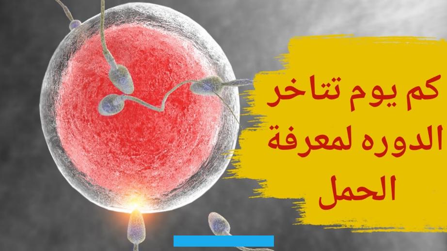 لكن قد لا يعرف الكثير من النساء أن السونار يمكن استخدامه مبكرًا للكشف عن وجود الحمل في الأصل أو عدم وجود. ويمكن التعرف على الحمل من خلال السونار بعد مرور أربعة أسابيع من آخر دورة للمرأة والذي من يمكنه الكشف عن وجود كيس الحمل. في الرحم ومن ثم التأكيد على حدوث الحمل.