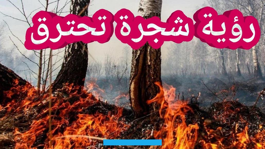 إشارة إلى تعرضه للظلم والافتراء عليه بالباطل لتشويه سمعته وعليه الاستعانة بالله.تدل رؤية النمل بالحمام في المنام على. الخسائر المالية الكبيرة التي سيتعرض لها الحالم الفترة القادمة والتي ستجعله في حالة نفسية سيئة.النمل بالحمام في المنام. يشير إلى تعرض الحالم إلى الغدر والخيانة من أشخاص مقربين منه مما سيجعله يفقد الثقة فيمن حوله.إذا شاهد الرائي في المنام.