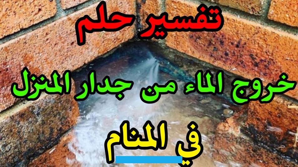 وخروج الدود معالبراز في المناميدل على التخلص من الأعداء. أما خروج الدود معالبول في الحلمفيدل على الشفاء بعد المرض.ومن رأى الدود يخرج من فمه بالحلم دل ذلك على سوء كلامه. وخروج الدود في المنام من الأذن يرمز لسوء مسمع الرائي. أما من رأى الدود يخرج منأنفه في الحلمفذلك يدل على سوء سمعته بين الناس وربما أساء أبناؤه له.
