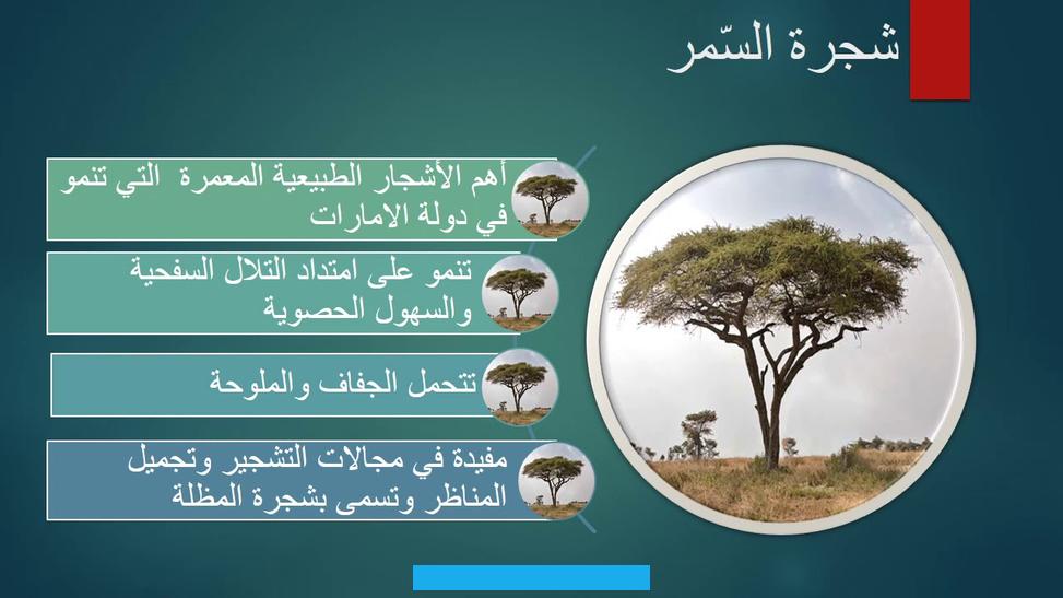 حيث يتم الإمساك بالفريسة بمساعدة الجدران الزلقة. والشعر المتجه إلى الأسفل.