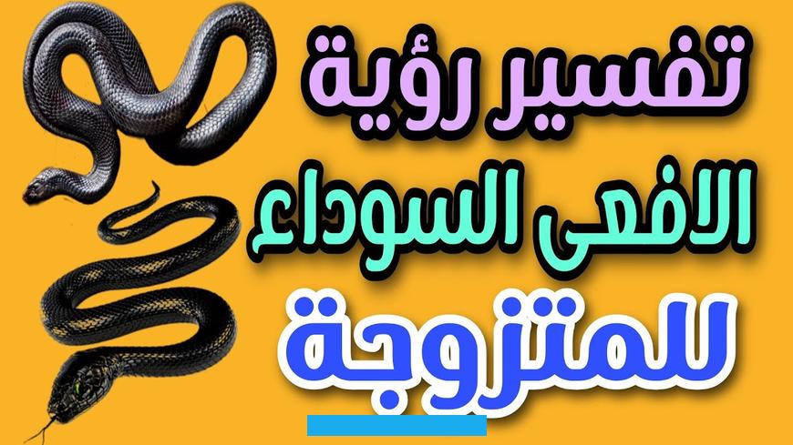الحالم سيتخلص من شر العدو.إذا رأى شخص مجموعة من الأفاعي في المنام. فهذا يدل على أن لديه العديد من الأعداء.تفسير عضة الافعى في الحلم يشير إلى إصابة الحالم بالفقر الشديد.اقرأ أيضًا:تفسير. حلم رؤية الهروب من الأفعى في المنامتفسير رؤية الأفعى في المنام للنابلسيتفسيرات أخرى للعالم الكبير النابلسي عن رؤية.