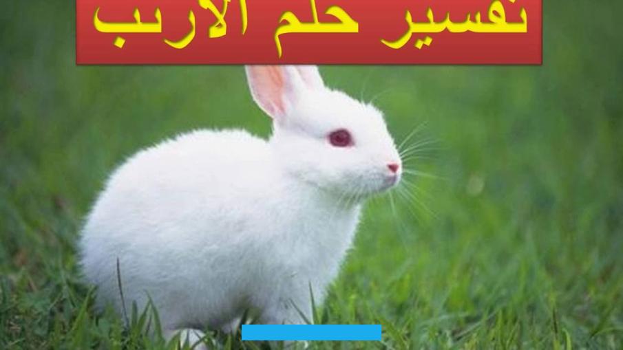 وتختلف هذه التفسيرات وفقًا للحالة سواء عند الرجل أو المرأة من العزباء والمتزوجة والحامل. ولكن تعد هذه الرؤية مثيرة للفضول للتعرف على دلالاتها للحالمة للحالم من حيت إن كانت إشاراتها محمودة أم مكروهة.