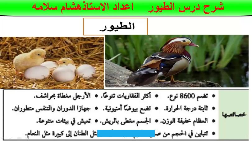 انواع الطيور بالتفصيلانواع الطيور بالتفصيلانواع الطيور بالتفصيل: هناك العديد من العائلات التصنيفية المختلفة للطيور. ويمكن تصنيفانواع الطيورإلى 6 فئات رئيسية.