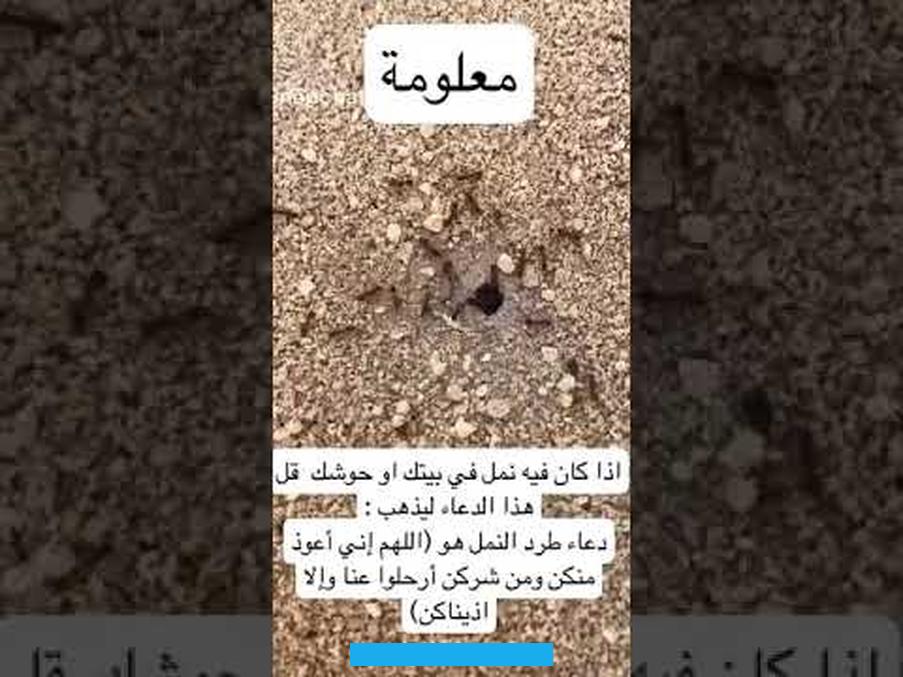 والمال الوفير القادم له. بينما رؤية النمل الأبيض فهي علامة على الحمل القريب لها وإن الله سوف يرزقها بمولود أنثي جميلة.وعندما تشاهد المرأة.