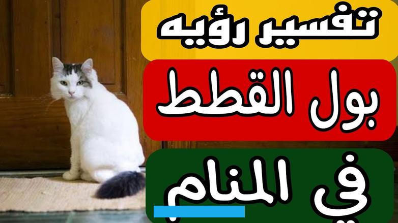 والخداع الذي يتعرض لها الرائي في حياته.كما أن رؤية تبول القطط في المنام.تدل على المكائد التي تحيط بالرائي وما عليه سوى. توخي الحذر لعدم الوقوع في أي مشكلة.كذلك إذا رأت السيدة في منامها أن القط يتبول.فهذه الرؤية تدل على تواجد الكثير من. الأشخاص المؤذين في حياة الرائي.لاسيما أن تبول القطط في المنام.تدل على الضرر الكبير الذي من الممكن أن يقع فيه.