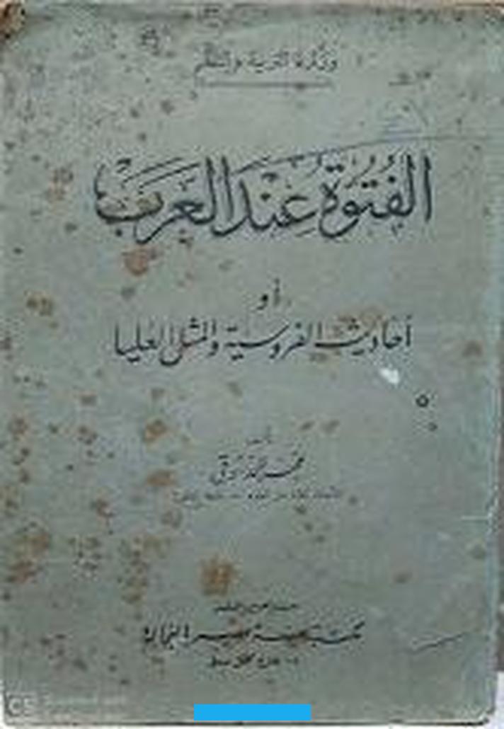 فضلا على ما قدمنا في مستهل القول