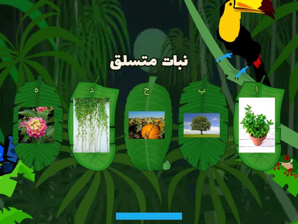 وهي غير مزهرة.مميزات النباتاتتتميّز بأنها ذاتية التغذية