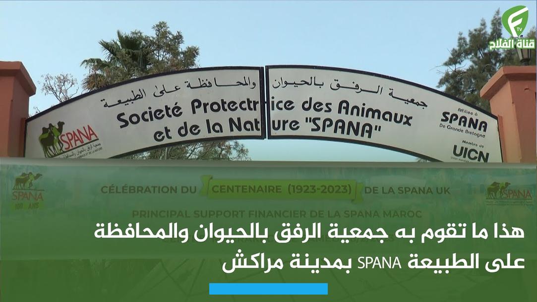 وأخرى يعيش في كل واحدة منها بين 7 إلى 8 كلاب. فيما يقوم 4 عمال دائمين على خدمة الحيوانات.سارة دعت الأولياء إلى مرافقة أطفالهم عند زيارة الملجأ.
