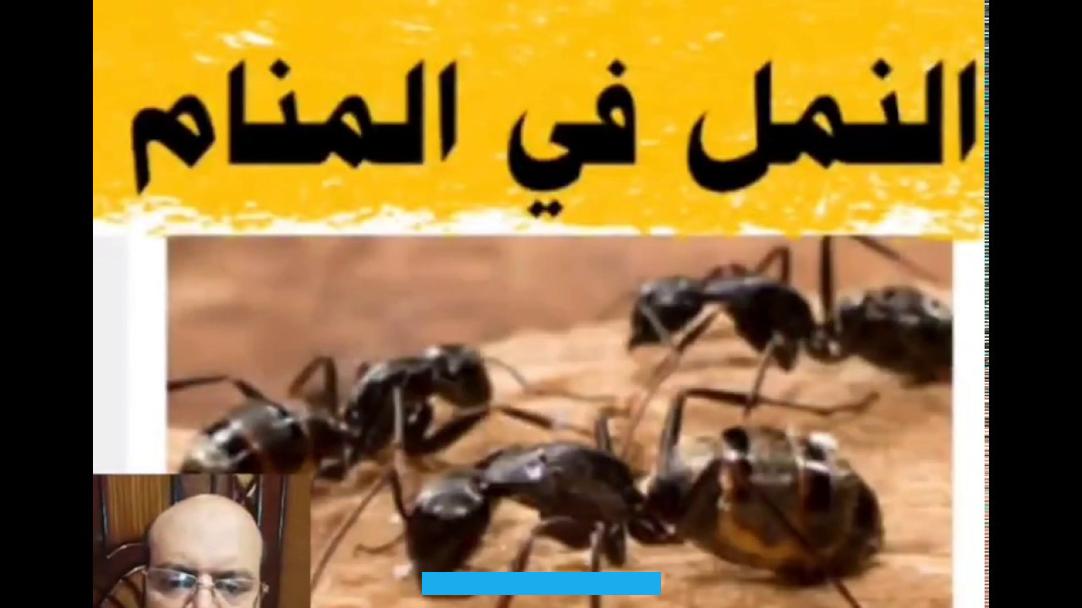 إلى وجود أشخاص غير صالحين في حياتها. مما يجعلها ترتكب الذنوب والمعاصي ويجب عليها التوبة والابتعاد عن أصدقاء السوء.يقول الإمام العصيمي أن النمل في الحلم.