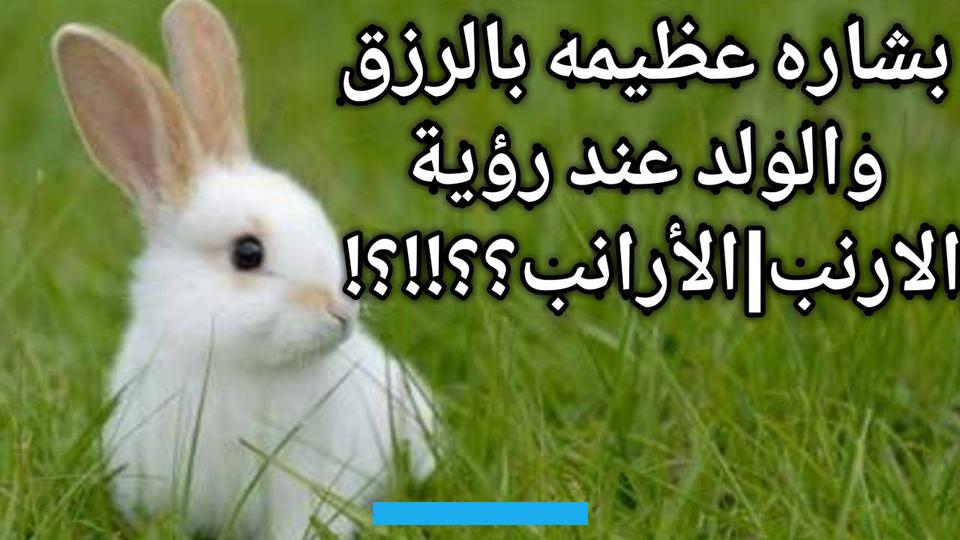 من يتحدث عنها بالسوء في الحقيقة.أما عن الرمز المحمود لتناول لحم الأرنب في المنام فإنه يعبر عن تحقيق التفوق سواء على. المستوى الدراسي أو على المستوى المهني.إذا رأت الحالمة في المنام أرنب أمام منزلها فتلك إشارة إلى معرفتها بصديقة غير صالحة. في الواقع.أما عن رؤية ولادة الأرنب في المنام فإن ذلك يعكس مدى تعلق الحالمة بوالدتها واتخاذها قدوة لها في حياتها.إذا حلمت.