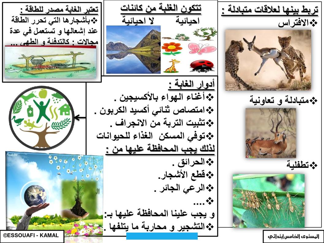 والاكتظاظ السكاني وحرق الوقود حيث ينتج عن هذه النشاطات تغيّرات كبيرة في المناخ. كما أنّها تزيد من تآكل التربة. وهو ما قد يؤدّي إلى حدوث هجرات بشرية جماعية.
