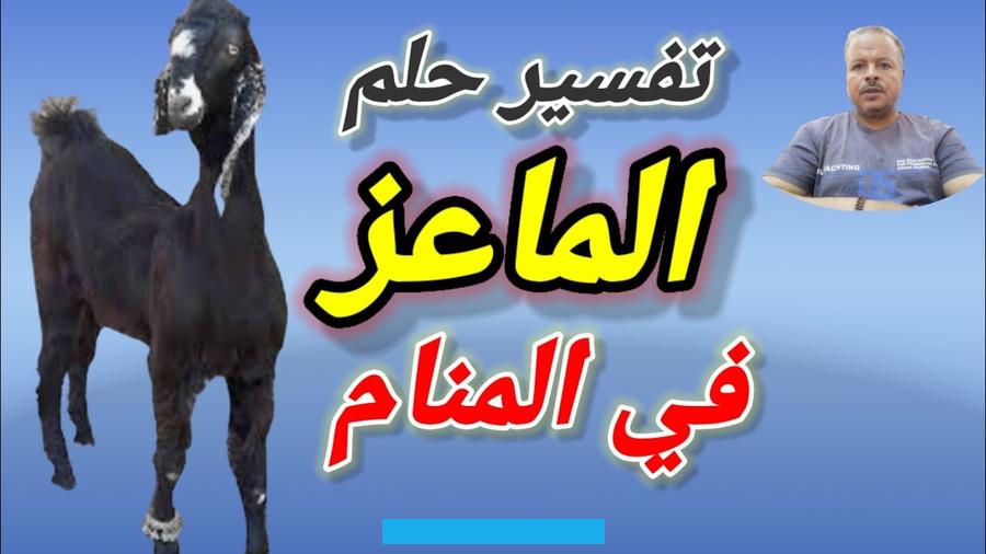 قد يعد ذلك بشارة بتغيير إيجابي في وضعها المادي. واقتراب فترة من الرخاء والبركة.بالنسبة للمرأة المتزوجة التي ترى نفسها تنظف شعرها من القمل في الحلم وهي في الواقع ترتكب. فهذا المنام يمكن أن يعكس رغبتها الداخلية في تصحيح مسار حياتها والعودة إلى نهج أكثر صلاحًا.إذا رأت الحالمة القمل يتساقط.