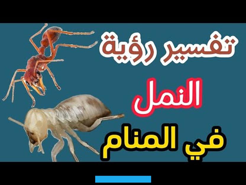 وقال تعالى: (فَلَمَّا قَضَيْنَا عَلَيْهِ الْمَوْتَ مَا دَلَّهُمْ عَلَى مَوْتِهِ إِلا دَابَّةُ الأَرْضِ تَأْكُلُ.