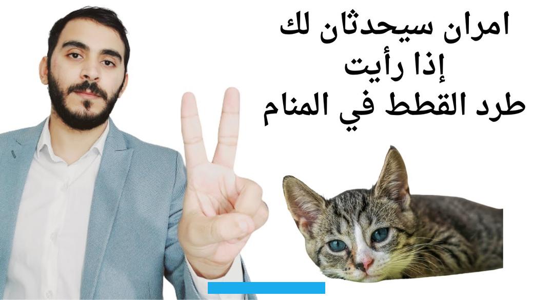على فك الكرب وانكشاف الهم والغم وانتهاء الأحزان والبدء من جديد في سعادة واستقرار.إذا حلم الفرد أنه يقوم بطرد القطط من. المنزل في المنام فسوف يتمكن من الوصول إلى قمم المجد وبناء مستقبل مشرق له في الأيام المقبلة.إذا حلمت العزباء أنها تقوم. بطرد القطط من المنزل في المنام فهذا دليل على أن الله سوف يوفقها في كل نواحي حياتها وتتمكن من العيش في سلام.