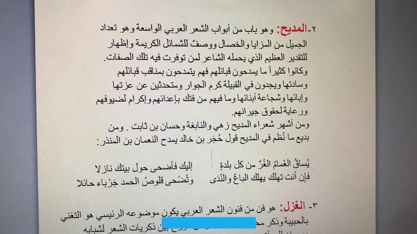 وإنما كان نواة نظام.وقد التفت أبو الريحان البيروني في كتابه «الجماهر في معرفة الجواهر» لفتة لطيفة ودقيقة فقال: إن هناك. فرقًا بين الفتوة والمروءة.فالمروءة تقتصر على الرجل في نفسه وذويه وماله. والفتوة تتعداه إلى غيره. والمرء لا يملك إلا نفسه.