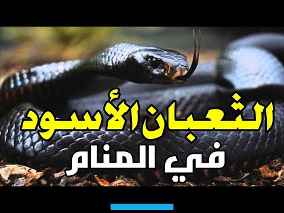 أما الحلم بالثعبان الأسود المنقط في الأحلام هو عدو قاسي يحمل لك الكثير من مشاعر الضغينة.فسر الإمام الصادق رؤية الثعبان. الأسود على فراش النوم أنه خيانة ومكر من قبل الزوج. أما إذا كان يمشي على السقف هنا الثعبان هو رمز إلى عدم الشعور بالأمان داخل البيت.الحلم بدخول ثعبان الماء إلى البيت هو.