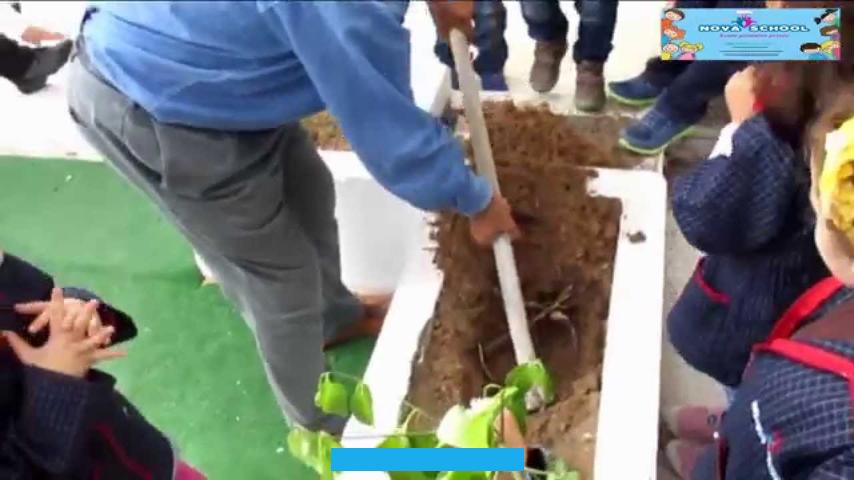فـتجزل العطاء لمن يعتني بها و تبخل به عمن يهملها ويسيء معاملتها. و فوائد الأشجار كثيرة لا تعد و لا تحصى فمنها ما يوفر الصمغ و منها ما يوفر العقاقير المختلفة وأخرى تجذبك بثمارها اللذيذة.