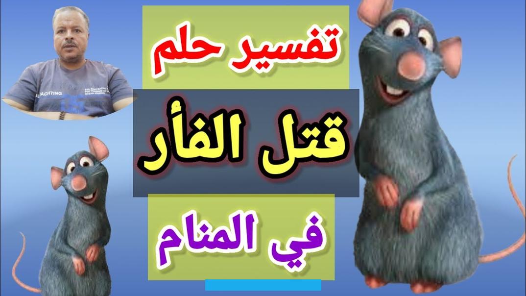 إليها الرائي وقد تكون هذه المشاكل على الصعيد المهني مع زملاء العمل أو خلافات مع العائلة الفيل في الحلم للعزباءعندما تحلم. الفتاة بأنها ترى فيلاً.
