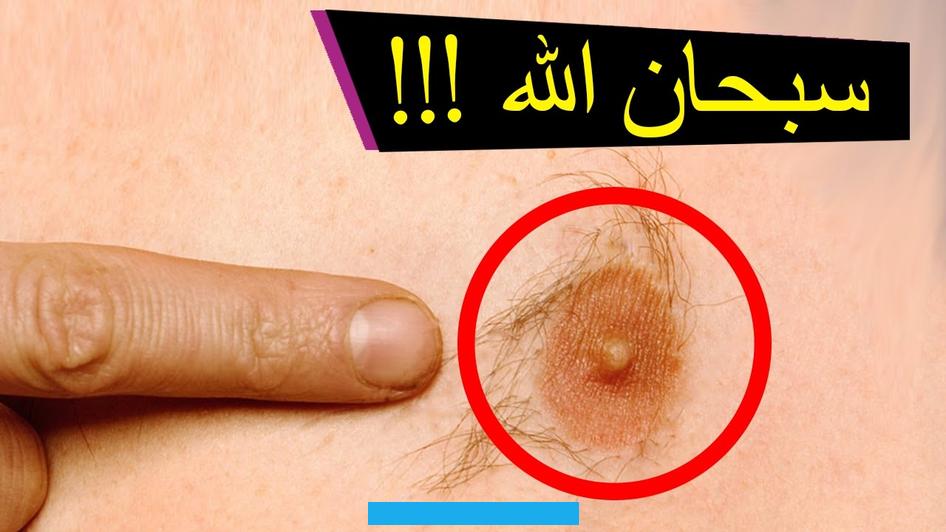 فذلك يعني أنها تُكن مشاعر الغيرة والحسد للآخرين.إذا شاهدت المتزوجة في حلمها أنها تطرد أفعى صفراء. دل ذلك الحلم على أنها تتصدى لمشكلاتها بشجاعة وقوة.